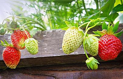 《地下城骑士团》登陆Steam 肉鸽横板动作闯关